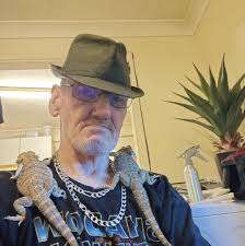 Hiya folks does anyone have ether a 2ft reptile vivarium or a 5ft or 6ft  reptile vivarium