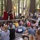 Mill Valley Fall Arts Festival