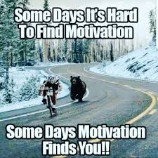 30 Great Motivational Memes To Inspire You Sayingimages Com They are all inspiring and funny. 30 great motivational memes to inspire