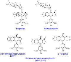 Image result for Etoposide