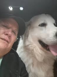 Lost and Found Pets Davidson County, NC