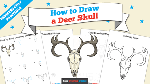 To draw a skull from the front view, draw a circle, then add a barrel shape below the circle. How To Draw A Deer Skull Really Easy Drawing Tutorial