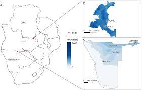 Image result for Triumfetta dekindtiana