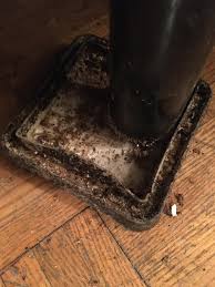 Advantage pest control provides pest control & termite treatments in temple tx, killeen tx and surrounding central texas cities. Toronto Pest Control Exterminator Toronto Toronto Rats