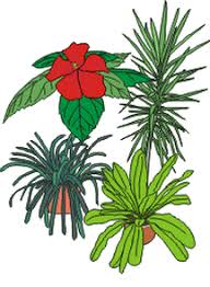 Maybe you would like to learn more about one of these? Plant Kingdom Biology Notes For Igcse 2014