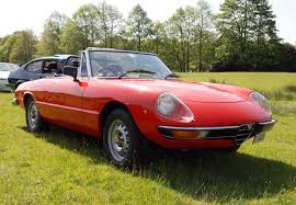 Image result for Light Silver 1981 Alfa-Romeo