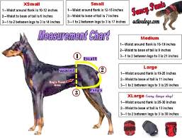 Dog Vest Sizing Fabric Color Chart Activedogs Com