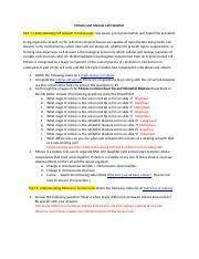 Mitosis worksheet and diagram identification answer key. Mitosis And Meiosis Lab Handout Docx Mitosis And Meiosis Lab Handout Part 1 Understanding Cell Division In Eukaryotes See Power Point Presentation And Course Hero