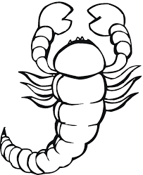 40+ sea life coloring pages for printing and coloring. Free Printable Scorpion Coloring Pages For Kids
