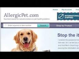 The good news is that dogs once the problem is taken care of usually begin to grow the lost hair back. Dog Hair Loss Remedy Naturalhairlossremedy Dog Hair Loss Naturalhairlossremedy Remedy Dog Hair Loss Hair Loss Remedies Stress Hair Loss