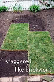 How To Lay Sod For A Beautiful Lawn How To Lay Sod Lawn Care Shade Landscaping