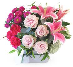 Another problem is that sometimes choosing the inexpensive. Marsden Florist Flower Delivery The Lush Lily Brisbane Florist Flower Delivery Carindale Loganholme Brisbane Buy Flowers Online