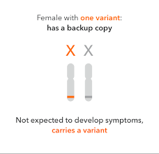 Match the description in column a to the terms in colomn b. What Is X Linked Recessive Inheritance 23andme Customer Care