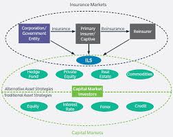 While visiting malaysia, it is vital to take appropriate travel insurance in case you get sick. Insurance Linked Securities Provide Another Reinsurance Option For Captives