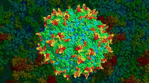 Image result for Blue 1999 AAV