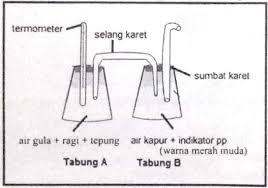 Check spelling or type a new query. Perhatikan Rancangan Percobaan Fermentasi Berikut Santi Dan Sinta Merancanakan Percobaan Dengan Menggunakan 2 Buah Gelas Kimia Sumbat Karet Selang Karet Air Gula Air Kapur Fenolftalin 10 Gam Tepung Terigu 2 Gram Ragi