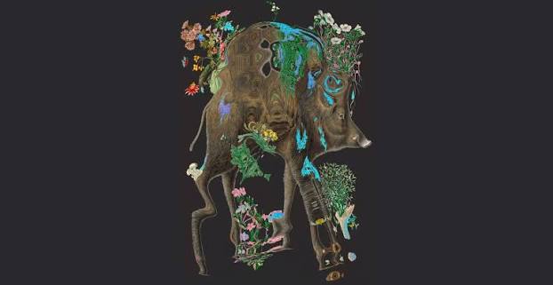 Annihilation — Jeff VanderMeer