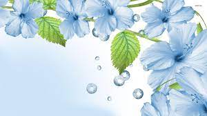 , elegance light blue vector flowers illustration white floral 1024×1024. Blue Flowers Wallpapers Wallpaper Cave