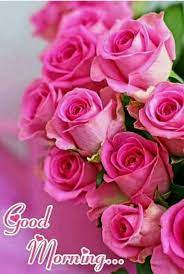 Rose image hd with butterfly. 35 Good Morning Quotes And Images Positive Words For Good Morning 21 Beautiful Rose Flowers Beautiful Pink Flowers Rose Flower Wallpaper