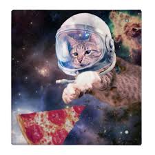 Cat Astronaut Funny Cats Cats In Space Binder Zazzle Com Astronaut Cat Cats Funny Cats