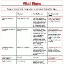Vital Signs Vital Signs Chart Medical Memes Vital Signs