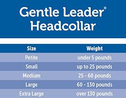 Petsafe Gentle Leader Chic Head Collar