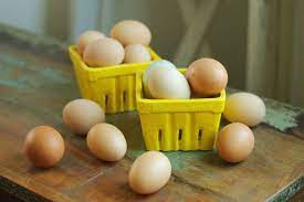 You have to do a lot of reading in college, it helps you learn a lot more. 50 Ways To Use Extra Eggs The Prairie Homestead