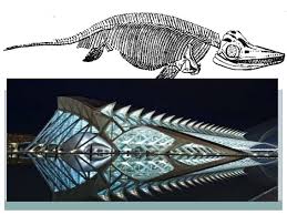 Zoomorphic The Animal Within Architecture Archilibs Architecture Santiago Calatrava Study Architecture