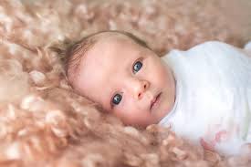 Clementine Photography (@clementinephotographysouthernhighlands) • Facebook