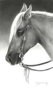 Ranch Rodeo Ready By Mary Ross Buchholz Graphite Charcoal 18 X 10 5 Horse Drawings Horse Art Equine Art Pencil Drawings