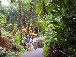 Hit play and go from sandy beaches to lush vegetation and volcanic fields. Hawaii Tropical Botanical Garden Cheyenne Bird Banter