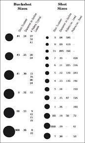 Shotgun Steel Shot Size Chart Www Bedowntowndaytona Com