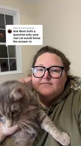 Cat Update Video for Cat Lovers