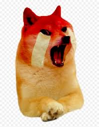 Doge yılan dogecoin, doge, çeşitli, memeli, etobur png. Le Adult Rage Png Dogelore Transparent Background Doge Meme Png Free Transparent Png Images Pngaaa Com