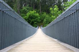 Gambar : jembatan, siang hari, lingkungan Hidup, titian, hutan ...