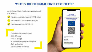 An eu digital covid certificate is a digital proof that a person has either. Que Sabemos De La Tramitacion Del Certificado Verde Digital Economia