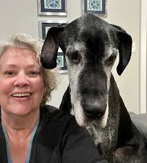 Rocky Mountain Great Dane Rescue‎