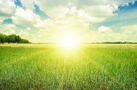Image result for Sunday images