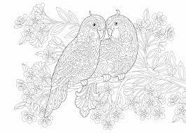 60 eenvoudig kleurplaat vogels in de winter voorbeeld. Vogel Kleurplaat 99 Kleurplaten Van Vogels Voor Kids En Volwassenen