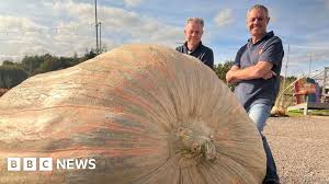 Image result for giant pumpkin