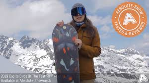 Capita Birds Of A Feather 2020 Review 2018 2019 Capita Birds Of The Feather Snowboard Video Review Youtube