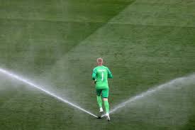 Finland yesterday requiring urgent cpr on the pitch. Dmzz1 Gryyrwbm