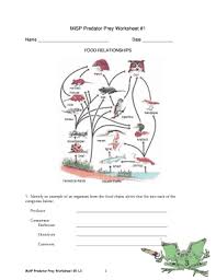 Just how strong these selective forces are probably depends on the strength of the interactions between. Misp Predator Prey Worksheet 1 L2 Answer Key Fill Online Printable Fillable Blank Pdffiller