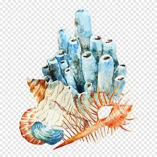 Coral reef, jellyfish, watercolor painting, blue coral, algae, sea, seaweed, lavender, aquarium decor. Seashells Watercolor Painting Coral Reef Watercolor Painting Illustration Conch Illustration Blue Color Png Pngegg