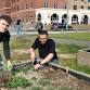 Tyfu Tawe/ Gardening Sessions - Swansea Bay Campus event in Swansea