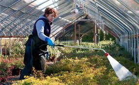 Where are japanese gardens in portland oregon? These Portland Area Nurseries Are Open Ready To Help With Spring Gardening Oregonlive Com