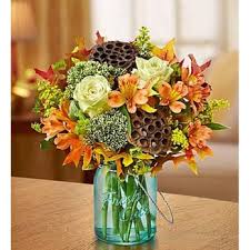 Check spelling or type a new query. Meadows Florist 26 Photos Florists 4415 Secor Rd Toledo Oh Phone Number Products Yelp