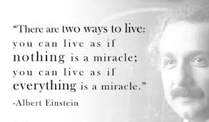 My Favorite Albert Einstein Quotes Steemit