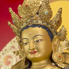 Tara Call's Instagram, Twitter & Facebook