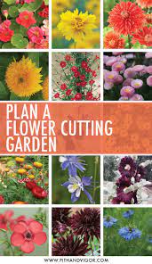 Or you can also have one such bed around your house. A Cutting Flower Garden Plan Pith Vigor By Rochelle Greayer